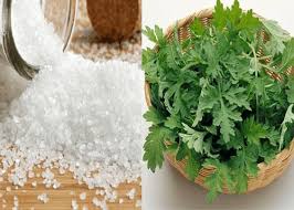 ngải cứu trị hôi chân